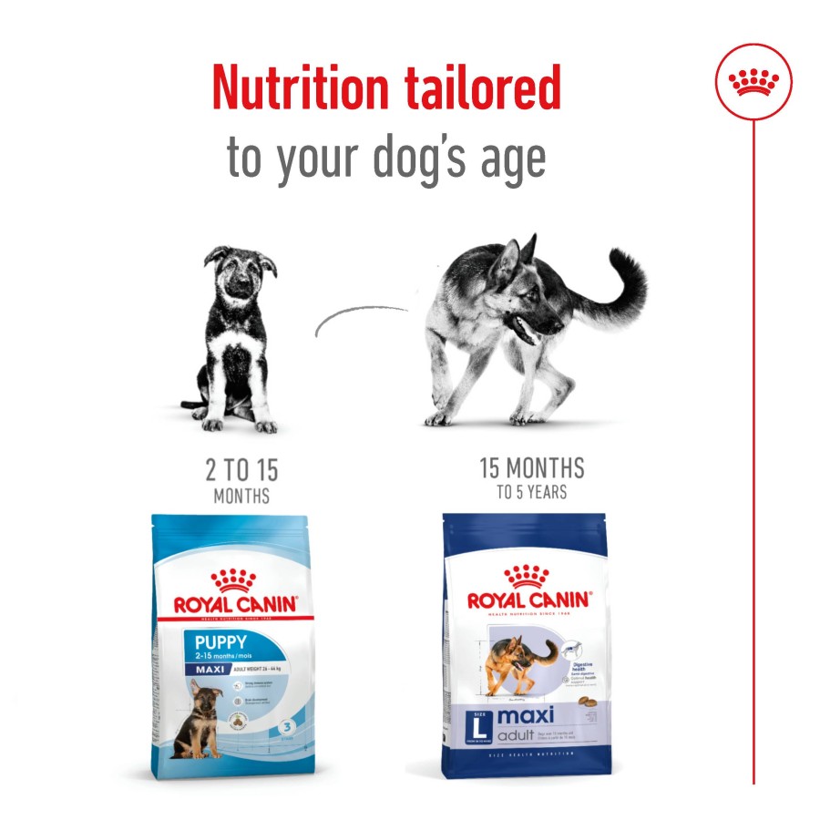 Royal Canin Maxi Adult Dry Dog Food Makanan Anjing Dewasa 4kg - Image 3