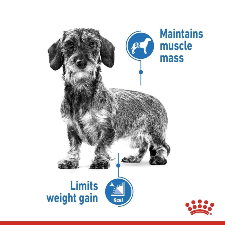 Royal Canin Mini Light Weight Care Adult Dry Dog Food Makanan Anjing Dewasa 3kg - Image 3