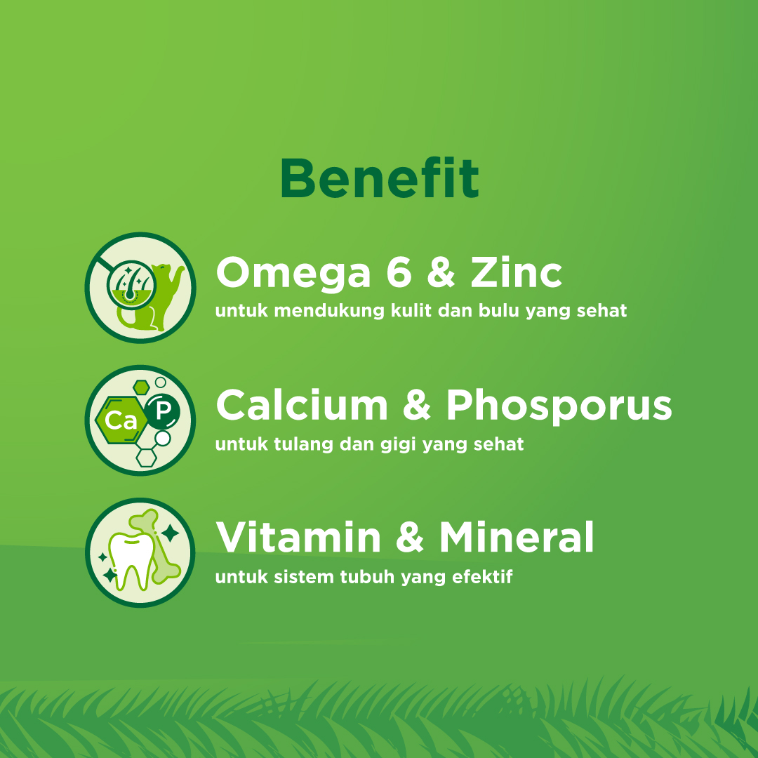 KiteKat Pouch Adult Chicken Tuna Wet Cat Food Makanan Kucing Dewasa 70gr - Image 5