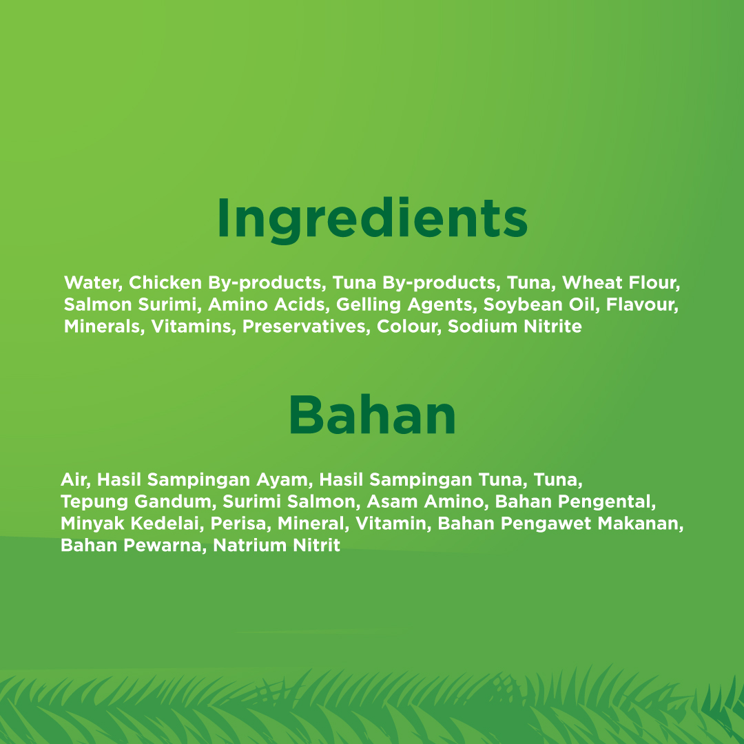 KiteKat Pouch Junior Chicken Salmon Wet Cat Food Makanan Anak Kucing 70gr - Image 2