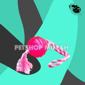 Octa Mainan anjing gigitan Bola Ball Anak Anjing puppy