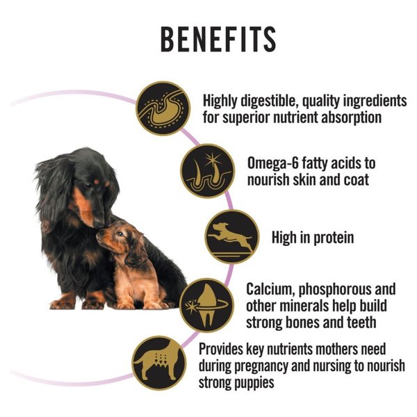 Pro Plan Puppy Starter ProPlan Mother Puppies 12 Kg - Image 3