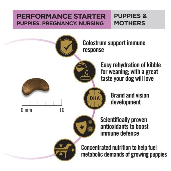 Pro Plan Puppy Starter ProPlan Mother Puppies 12 Kg - Image 4