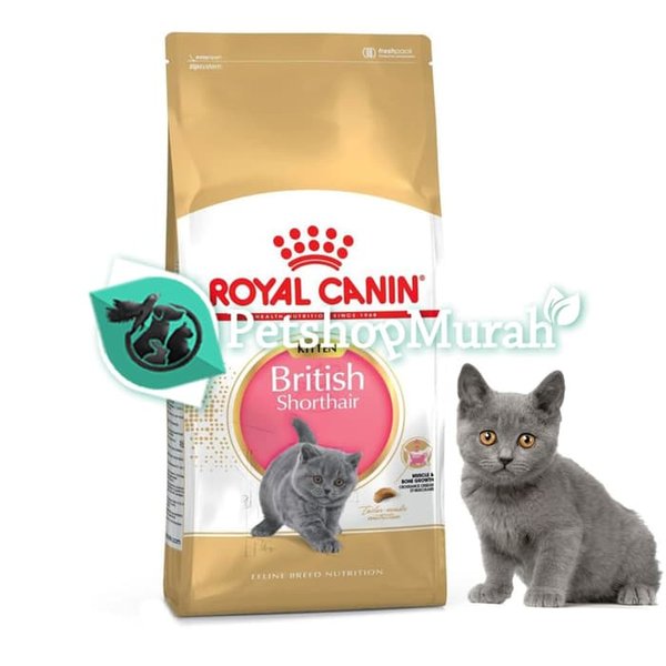 Royal Canin British Shorthair Kitten Dry Cat Food Makanan Anak Kucing 2kg - Image 2