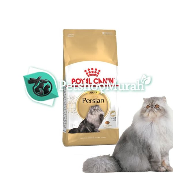 Royal Canin Persian Adult Dry Cat Food Makanan Kucing Dewasa 400gr - Image 2