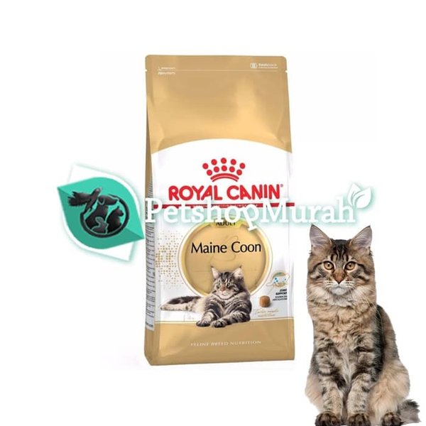Royal Canin Maine Coon Adult Dry Cat Food Makanan Kucing Dewasa 2kg - Image 4