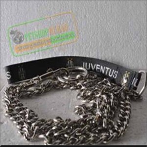 Rantai Tuntun Besi Besar ( Anjing Ras Besar )