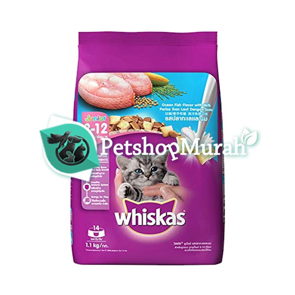 Whiskas Junior Ocean Fish Kitten Dry Cat Food Makanan Anak Kucing 1.1kg - Image 5