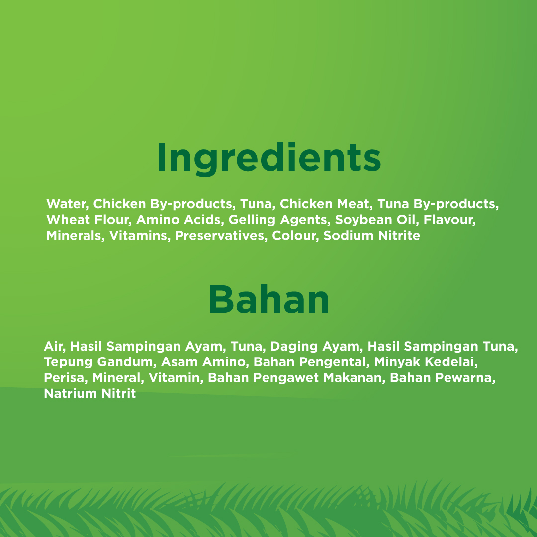 KiteKat Pouch Adult Chicken Tuna Wet Cat Food Makanan Kucing Dewasa 70gr - Image 4