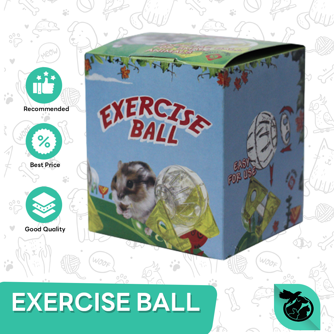 Bola Tempat Lari Hamster / Landak Mini - Exercise Ball