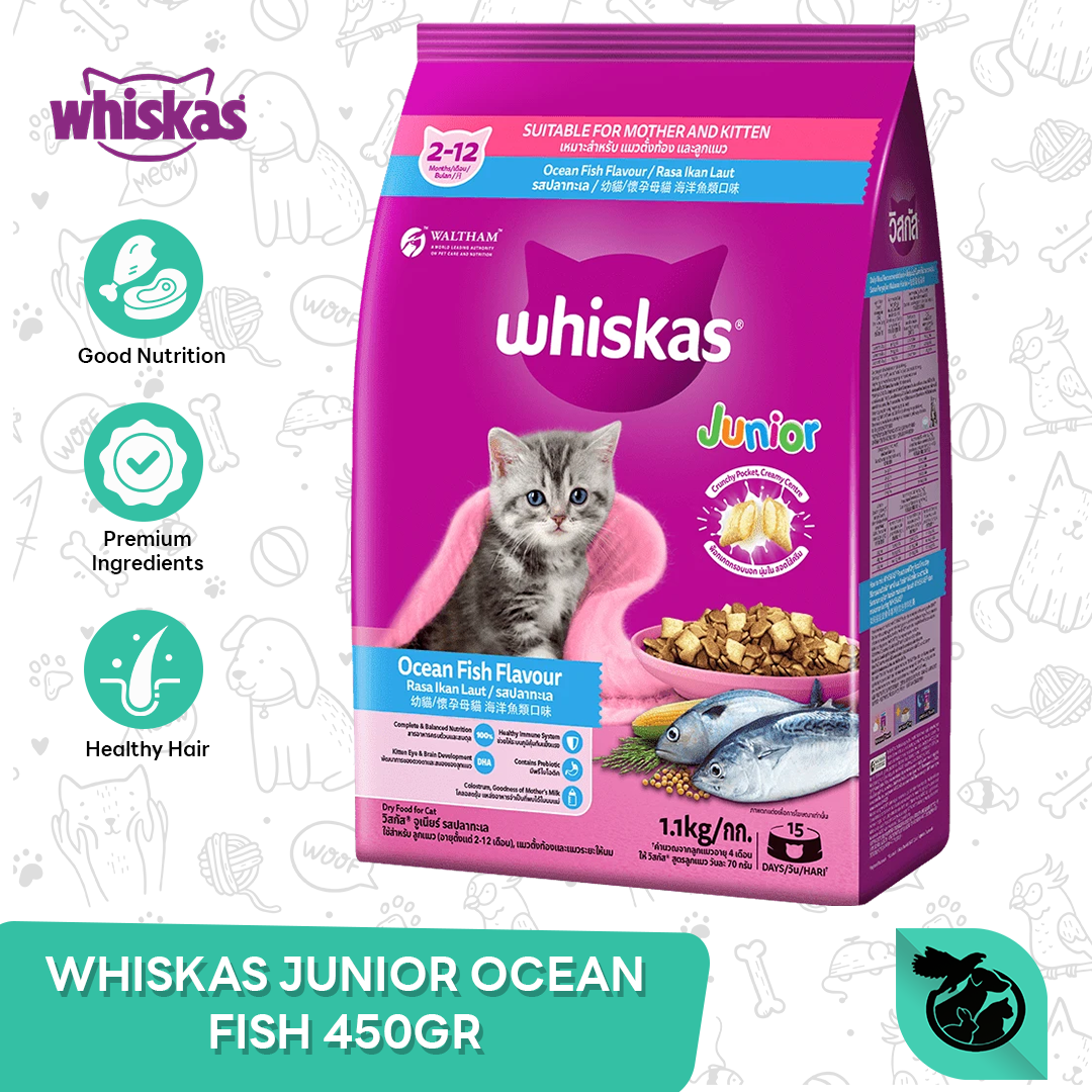 Whiskas Junior Ocean Fish Kitten Dry Cat Food Makanan Anak Kucing 450gr