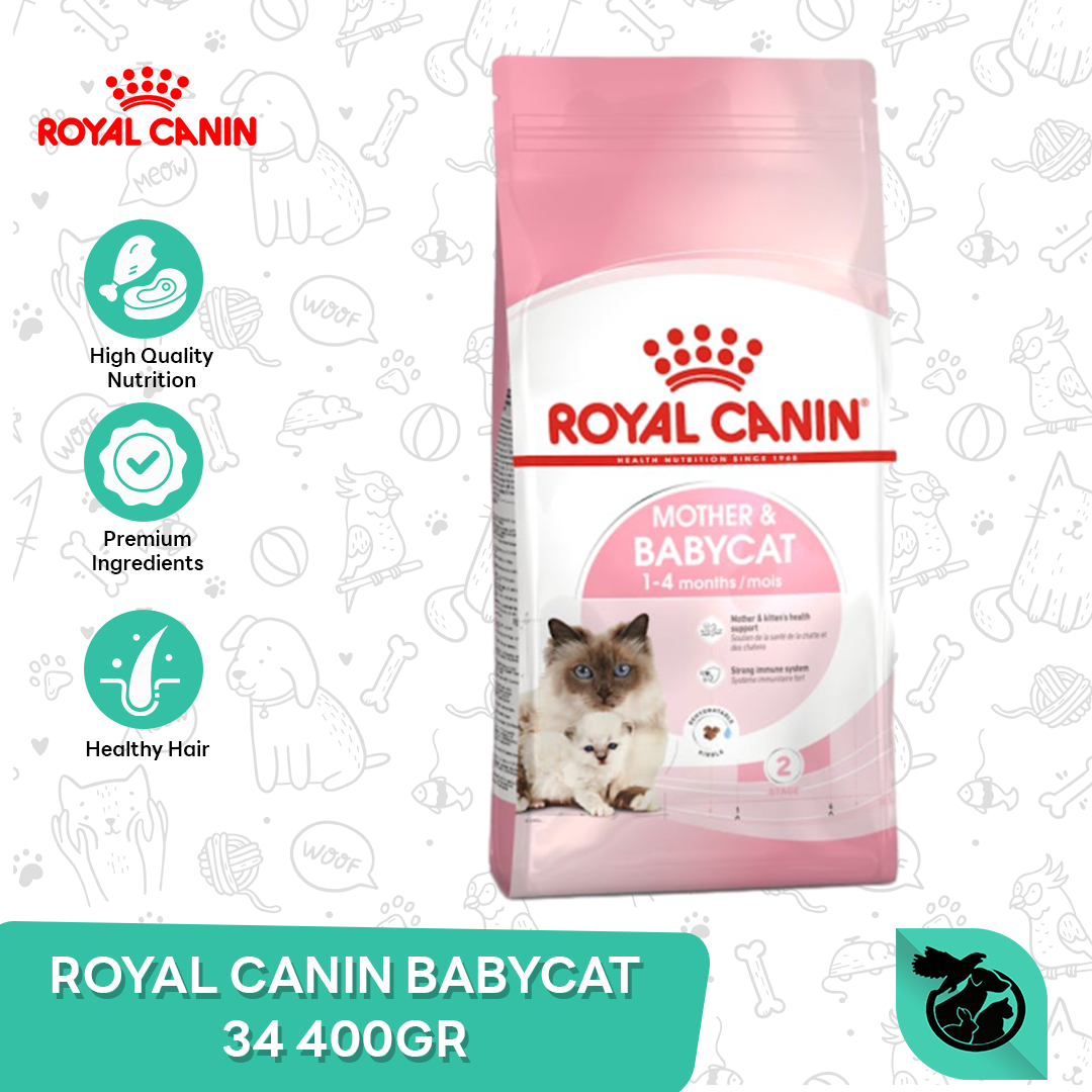 Royal Canin Babycat Dry Cat Food Makanan Anak Kucing 400gr