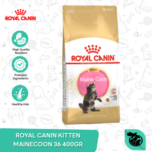 Royal Canin Maine Coon Kitten Dry Cat Food Makanan Anak Kucing 400gr