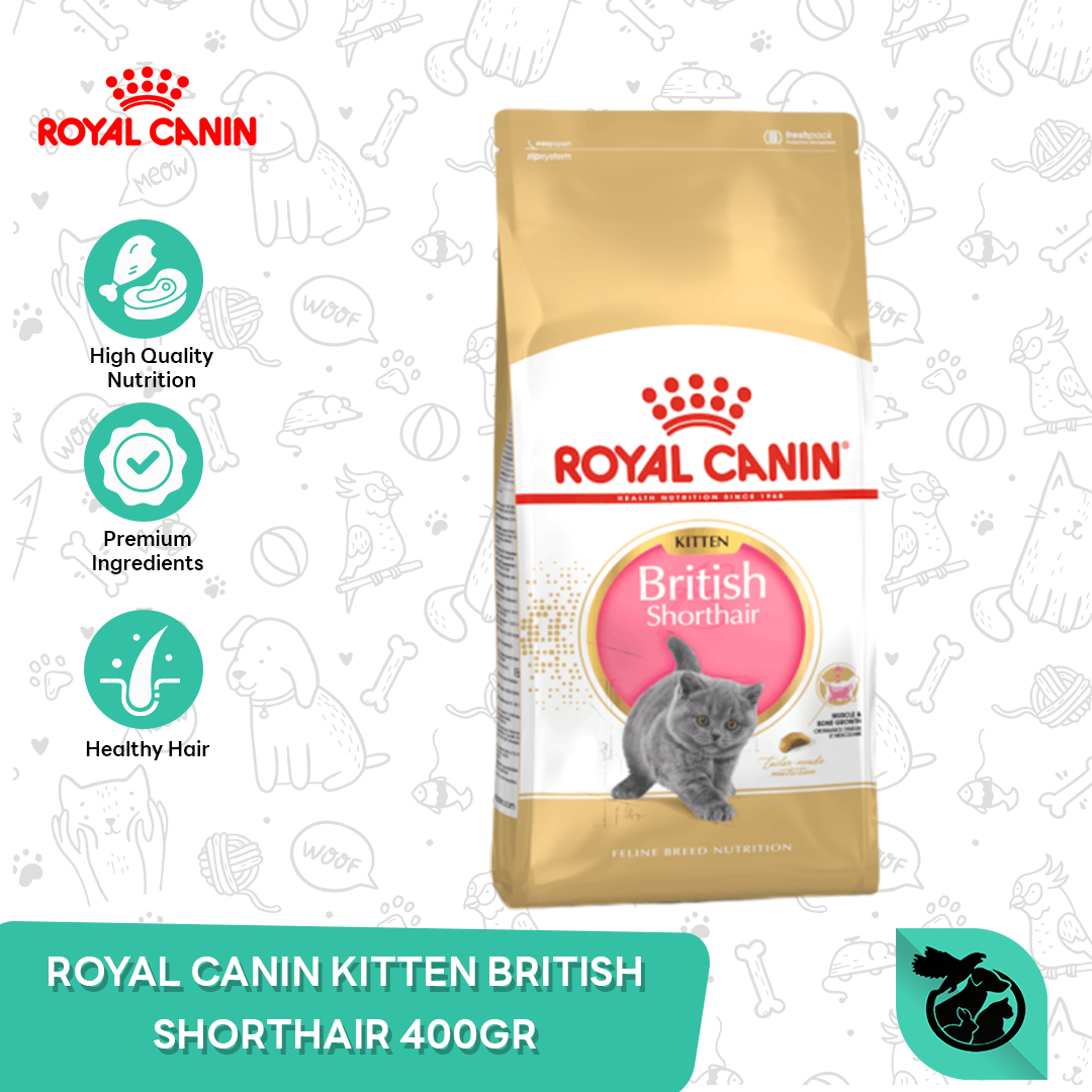 Royal Canin British Shorthair Kitten Dry Cat Food Makanan Anak Kucing 400gr