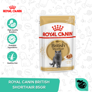 Royal Canin British Shorthair Adult Wet Pouch Cat Food Makanan Kucing Dewasa 85gr