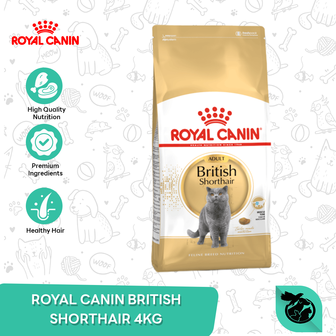 Royal Canin British Shorthair Adult Dry Cat Food Makanan Kucing Dewasa 4kg