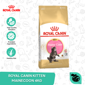 Royal Canin Maine Coon Kitten Dry Cat Food Makanan Anak Kucing 4kg