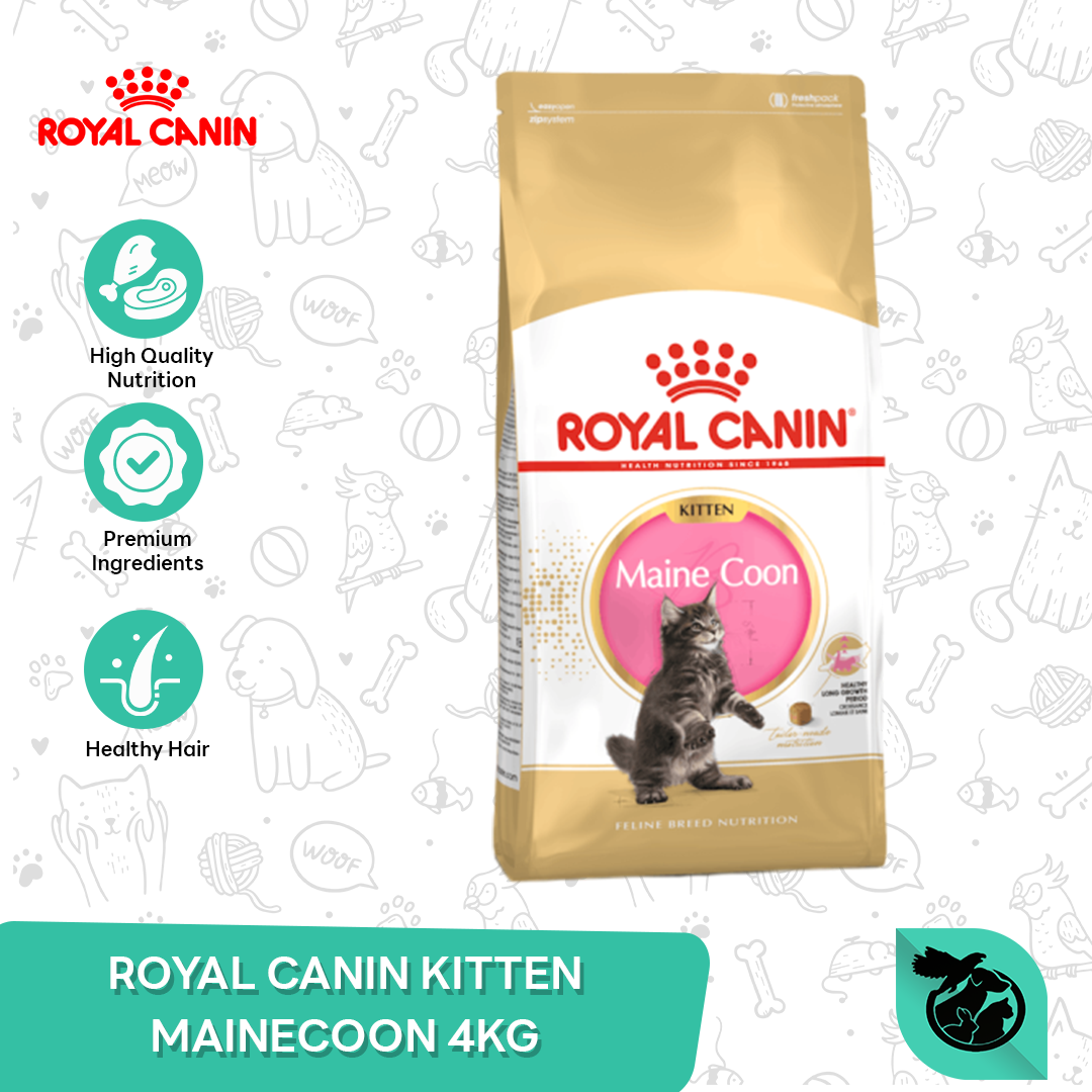 Royal Canin Maine Coon Kitten Dry Cat Food Makanan Anak Kucing 4kg