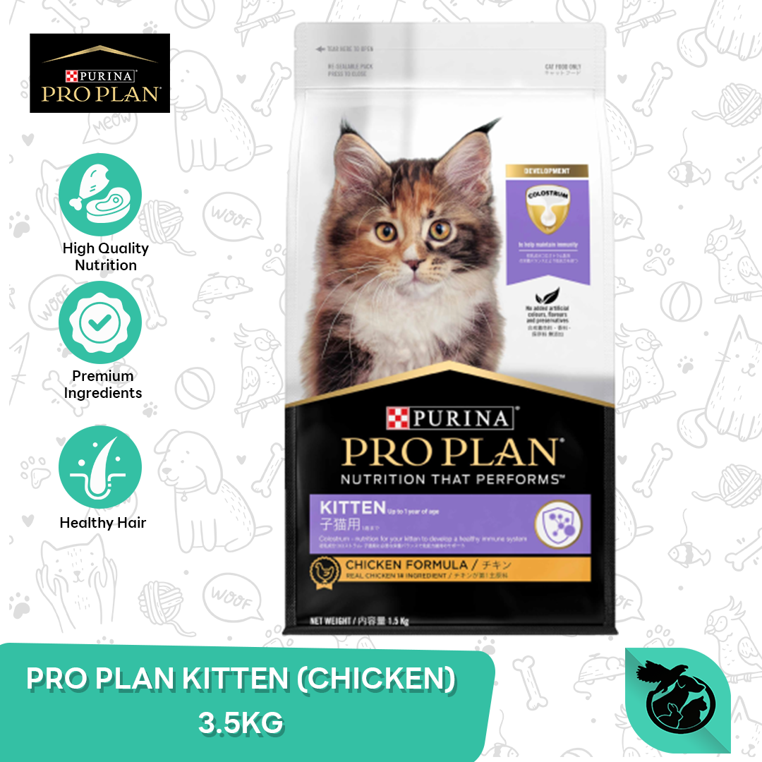 Cat Food Makanan Anak Kucing ProPlan Kitten Pro Plan Chicken 3.5 KG