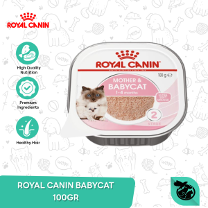 Royal Canin Babycat Wet Tray Cat Food Makanan Anak Kucing 100gr
