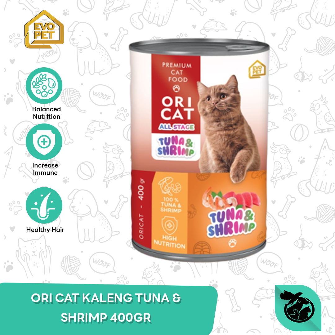 Ori Cat Can Wet Food Makanan Kucing Kaleng 400gr