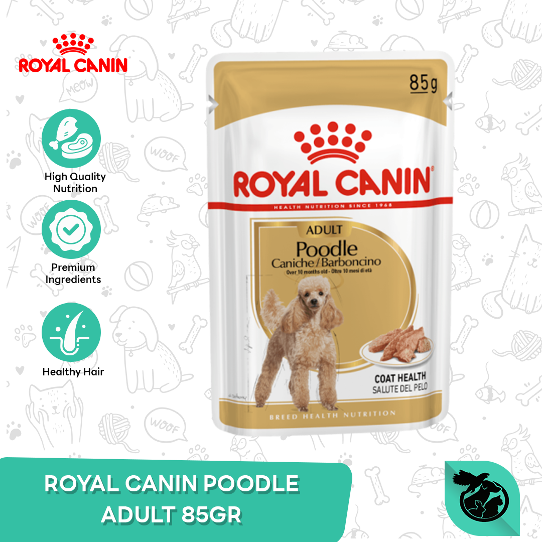 Royal Canin Poodle Adult Wet Pouch Dog Food Makanan Anjing Dewasa 85gr
