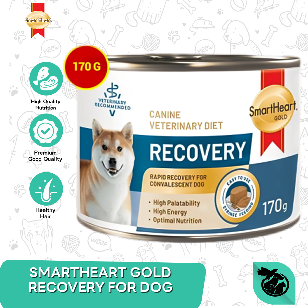 Smartheart Gold Recovery For Dog Wet Food Makanan Anjing 170gr