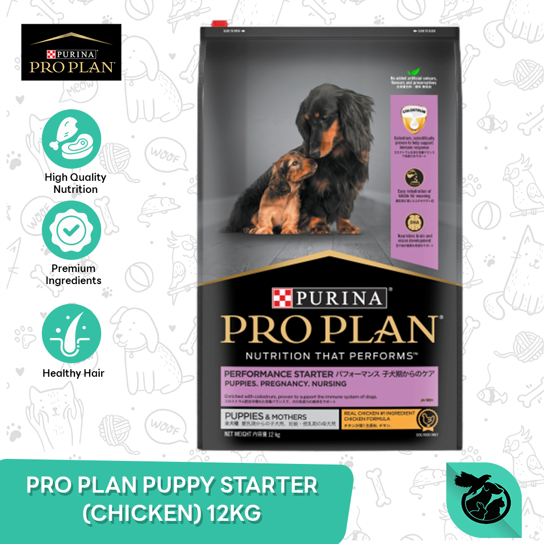 Pro Plan Puppy Starter ProPlan Mother Puppies 12 Kg