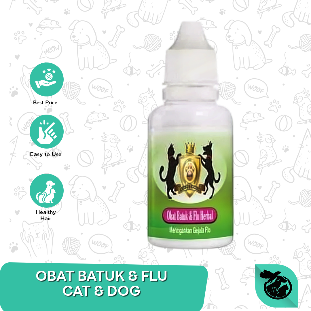 Obat flu kucing anjing obat batuk kucing anjing obat flu batuk herbal