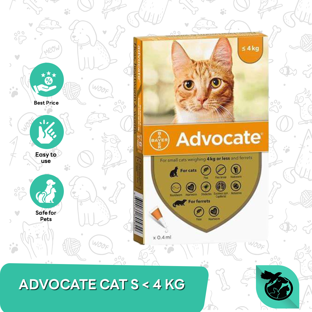 Obat Tetes Kutu Cacing Tungau Flea Scabies Kucing Advocate 0 – 4 KG