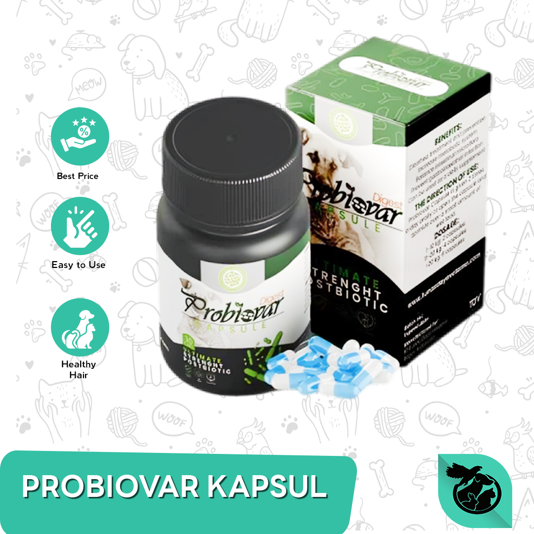 Obat Anjing Kucing Probiovar Digest Capsule Prosbiostik Kapsul