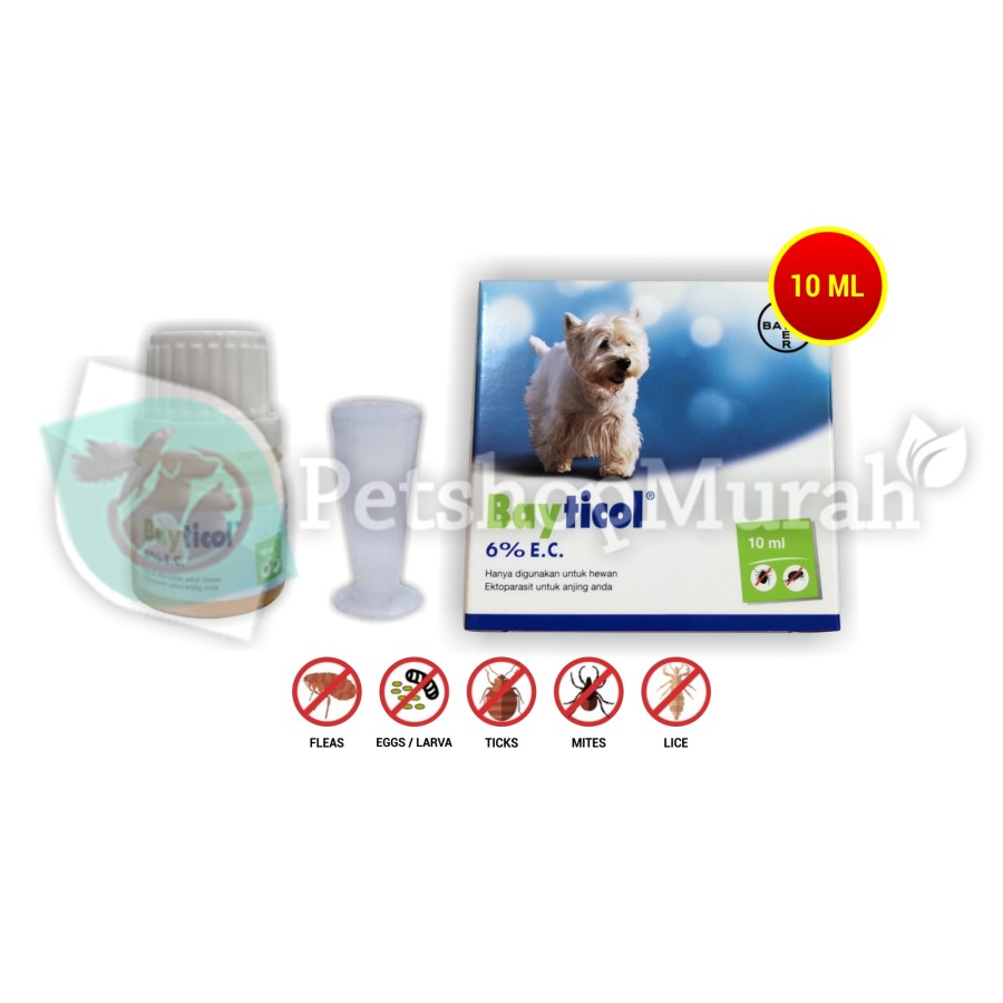 Bayticol Dog Obat Kutu Tetes Caplak Pinjal Tungau Anjing 10 Ml